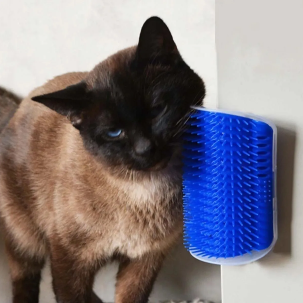 Escova Massageadora Coça Gato